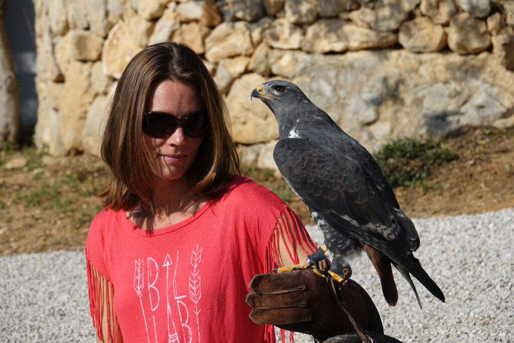 Training 4-daagse in Spanje met roofvogels - persoonlijk leiderschap