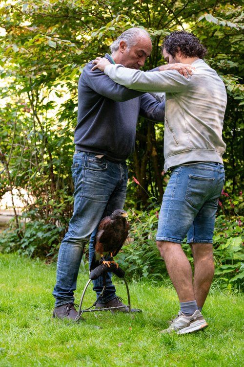 dagtraining met roofvogels